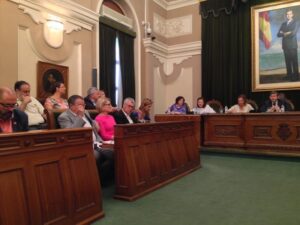 Pleno Ayuntamiento Castellón 28V15 (21)