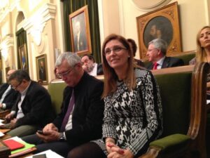 Pleno Castellón 30I14 (87)