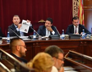 Pleno Diputacion Sales 200617