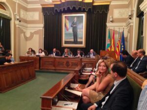 Pleno N Ayuntamiento 3VI15 (87)