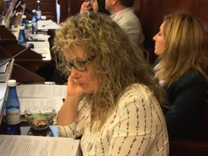 Pleno diputación 190917 (9)