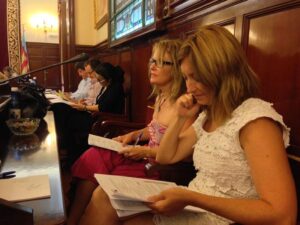 Pleno diputacion 28VII15 (15)