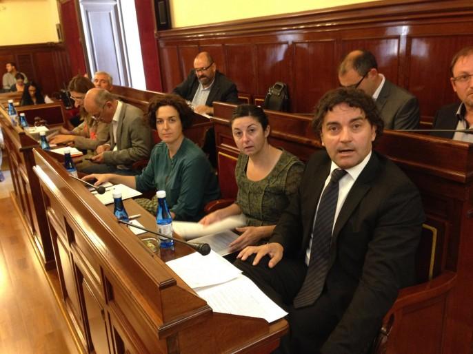 Pleno diputacion 29IV14 (4)