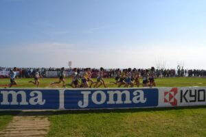 Público en Amplàries oropesa