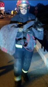 Rescate perro CPB 120817