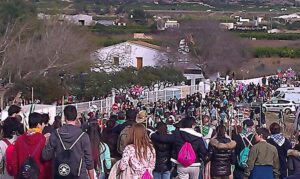 Fiestas Magdalena 2016 Castellón Romería Cañas 2 28II16 (7)