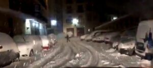 Temporal Morella 200117 2