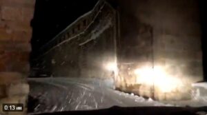 Temporal Morella 200117