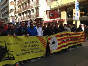 Toros Manifestación castellón 15II15 (124)