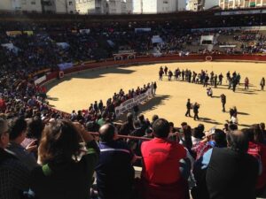 Toros Manifestación castellón 15II15 (185)
