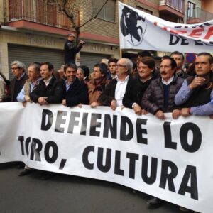 Toros Manifestación castellón 15II15 (90)