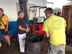 Torra de la Sardina F Rafa Simo300617 2