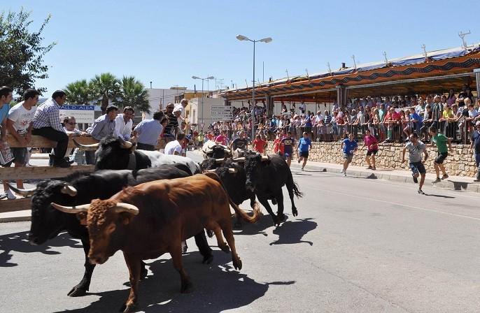 VALL D'ALBA - ENCIERRO