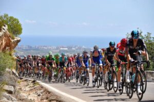 La serpiente multicolor recorrió la parte norte de la provincia de Castellón. FOTO: DIPUTACIÓN