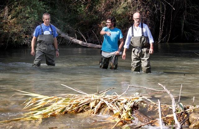 aguas proyecto nutria 2