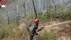 bomberos del consorcio trabajando en el incendio de artana