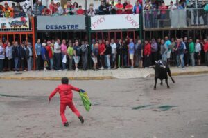bou Palha festes almenara