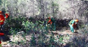 brigada especial Montí 11