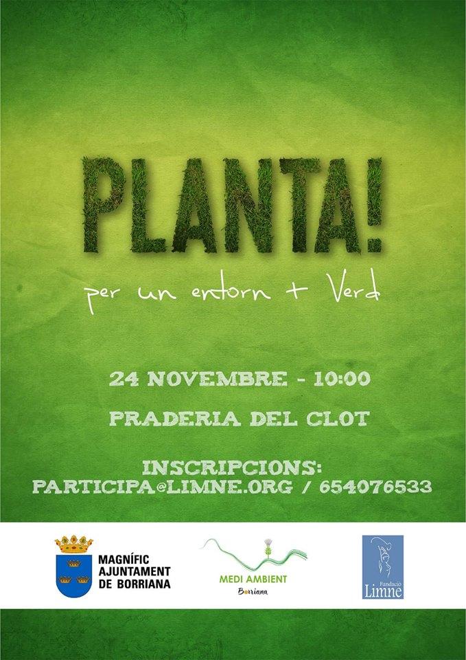 cartellplantacionsnovembre18