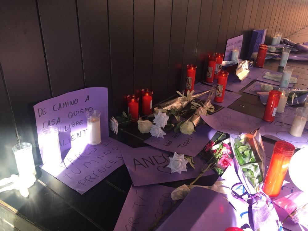 Violencia de generoconcentración andrea carballo18