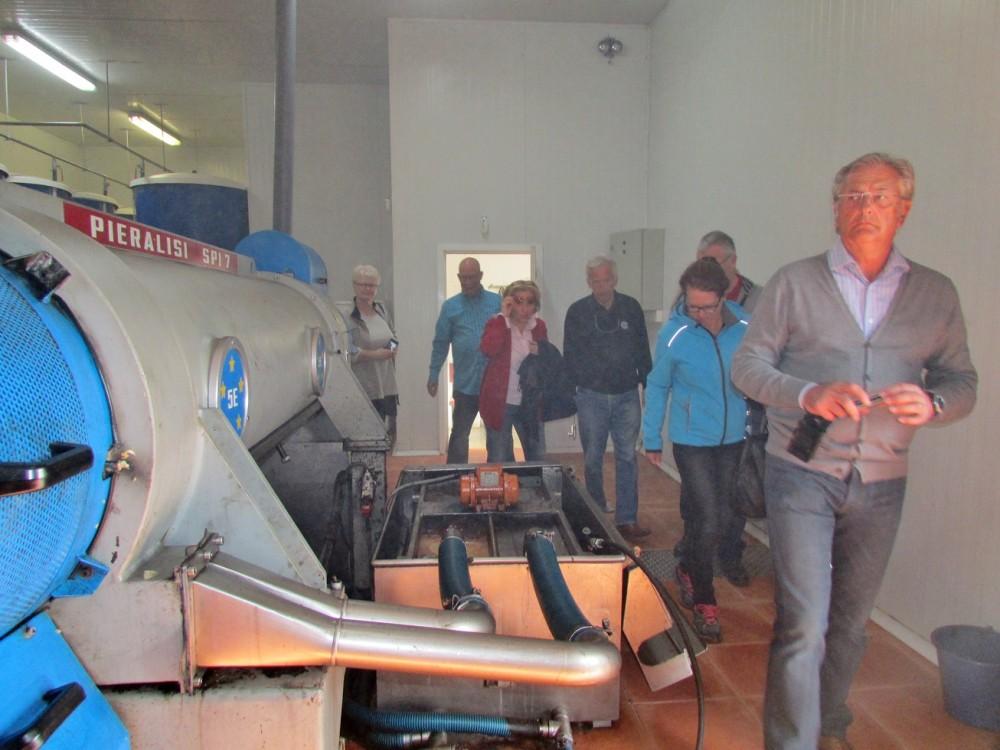 cooperativa Sant Jordi, aceite