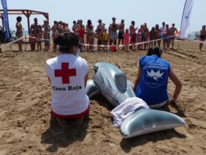 cruz roja 2 170717