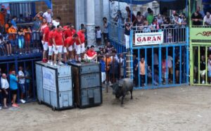 dilluns bous Borriana