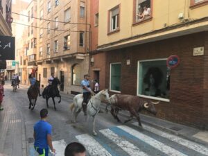 Borriana dissabte misericòrdia3