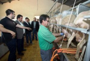 empleo TORRE EMBESSORA