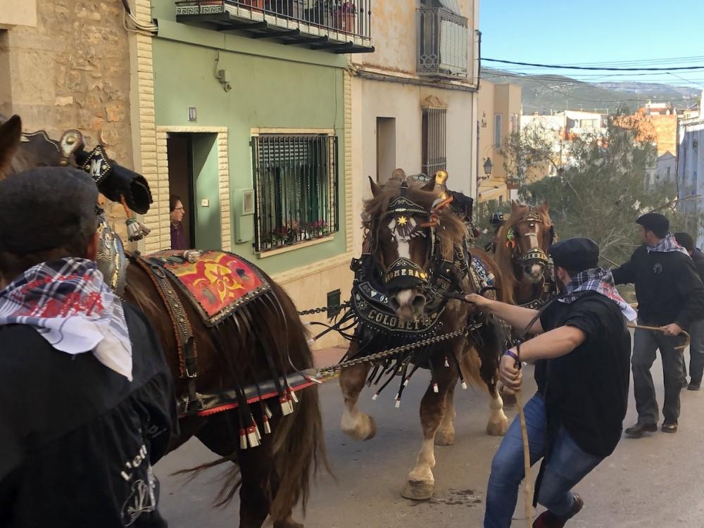 Santa Magdalena celebració de Sant Antoni