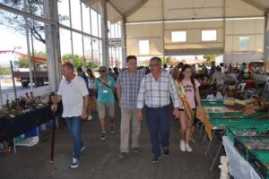 feria antigüedades oropesa