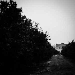 foto expo Alberto Navarro