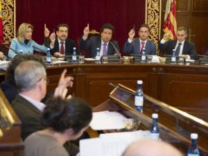 foto pleno diputación width=