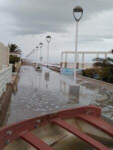 foto temporal moncofa