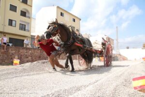 foto tir i arrosdegament