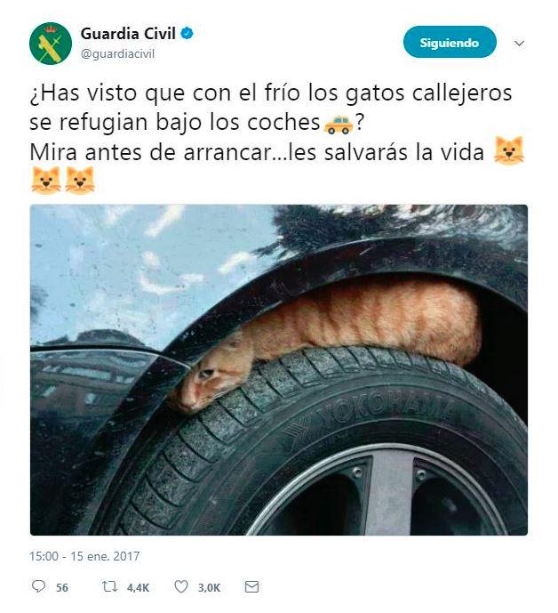 Guardia Civil campaña Gato