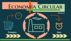 gráfico empresa y economía circular