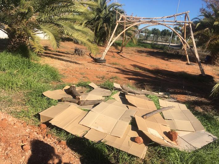 hort urbà antic par caní3