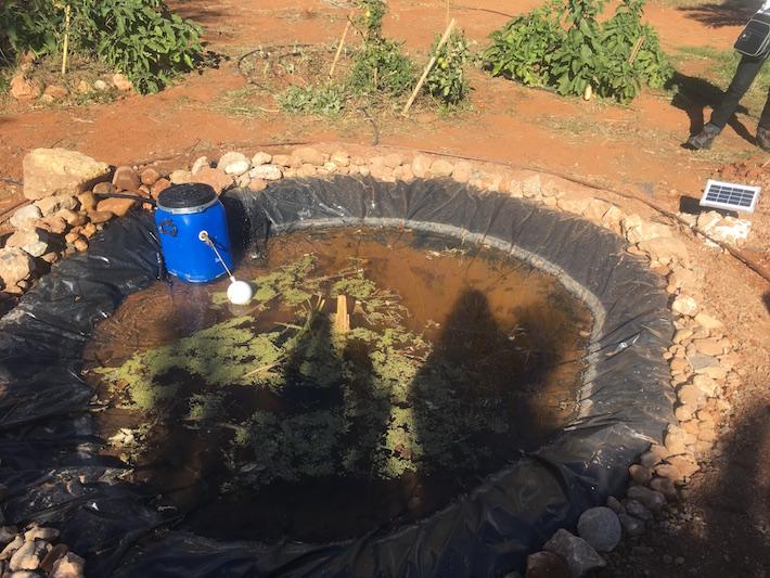 hort urbà antic par caní8