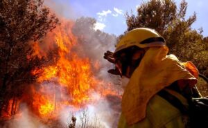 incendio-gàtova2-e1500558484717