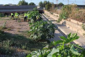 inem agrari vila-real2