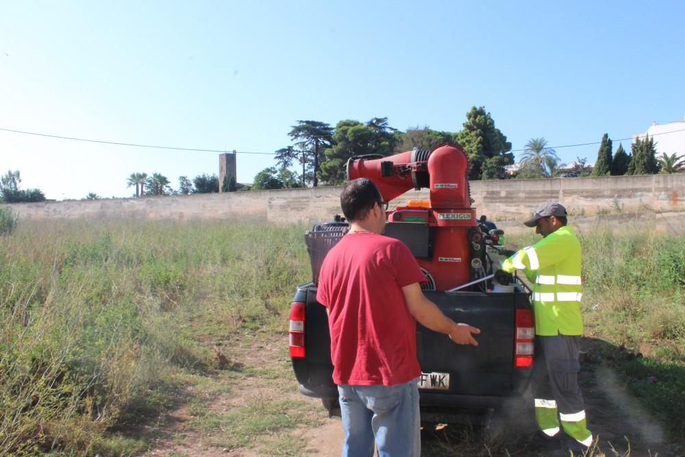 Borriana mosquits agost