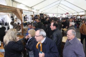 mostra belloquina 2016