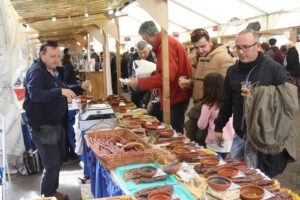 mostra belloquina domingo 2