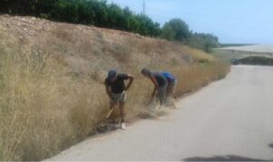 treballadors atur Almenara arreglant camins