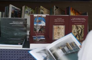 publicaciones de la diputación