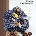 poster santa catalina