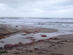 temporal mar y lluvia 17XII16 (37)