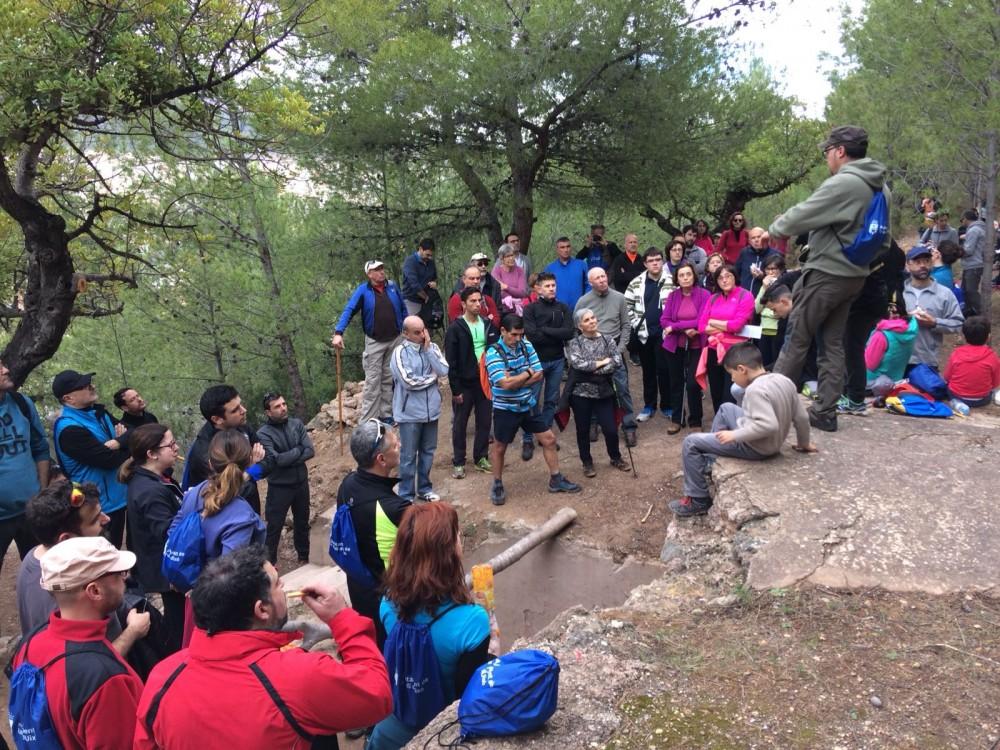 La Vall d'Uixó, línea XYZ