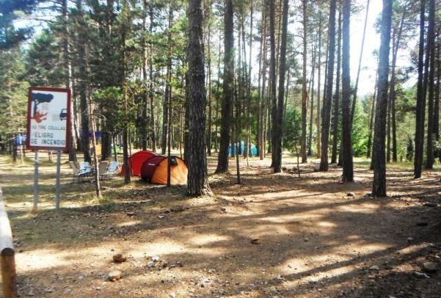 CREATOR: gd-jpeg v1.0 (using IJG JPEG v62), quality = 75